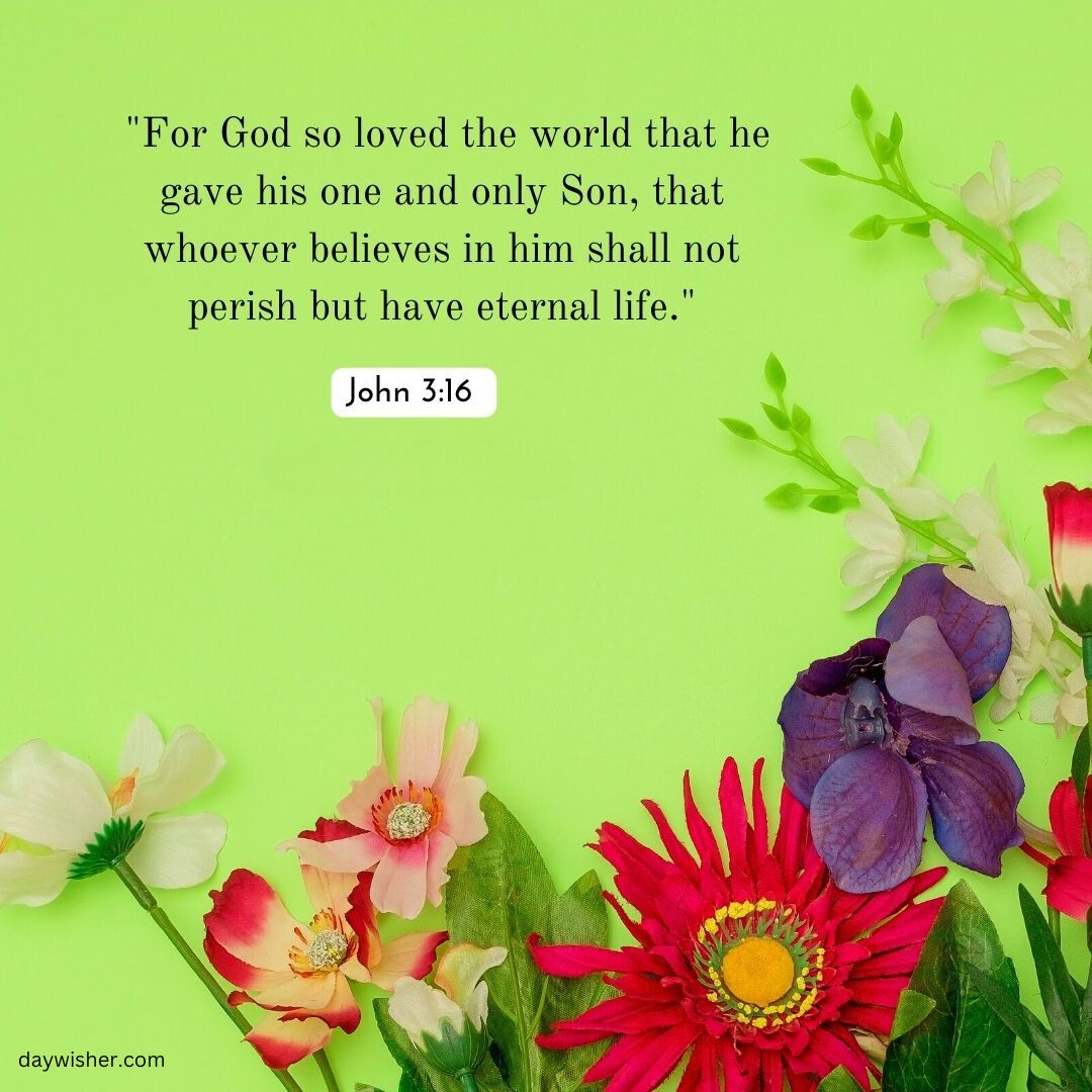 Image of a Bible verse, John 3:16, representing faith, surrounded by colorful flowers including red gerbera and purple orchid on a light green background.