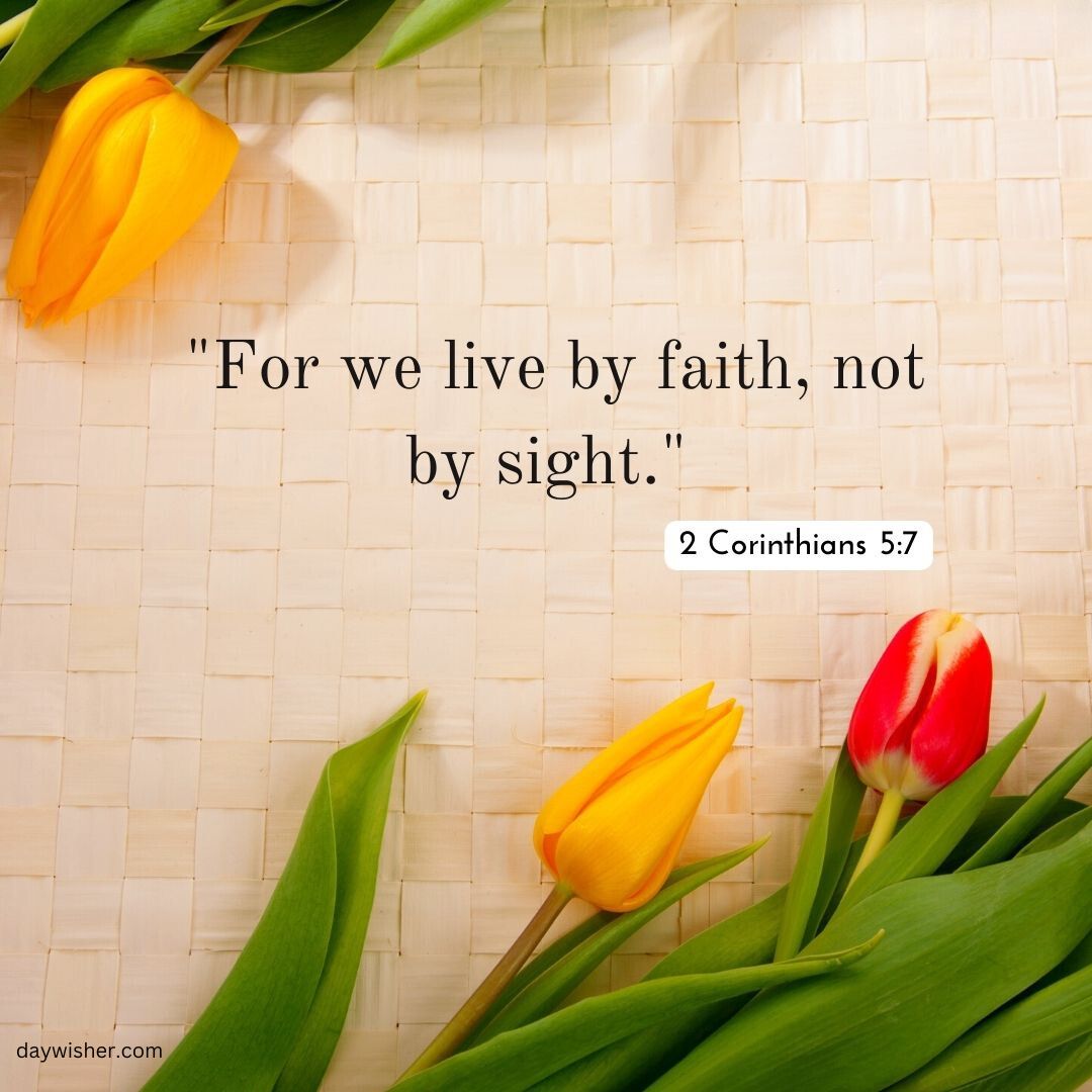 The image displays a Bible verse "for we live by faith, not by sight" from 2 Corinthians 5:7 on a background of woven material, adorned with fresh tulips in yellow and
