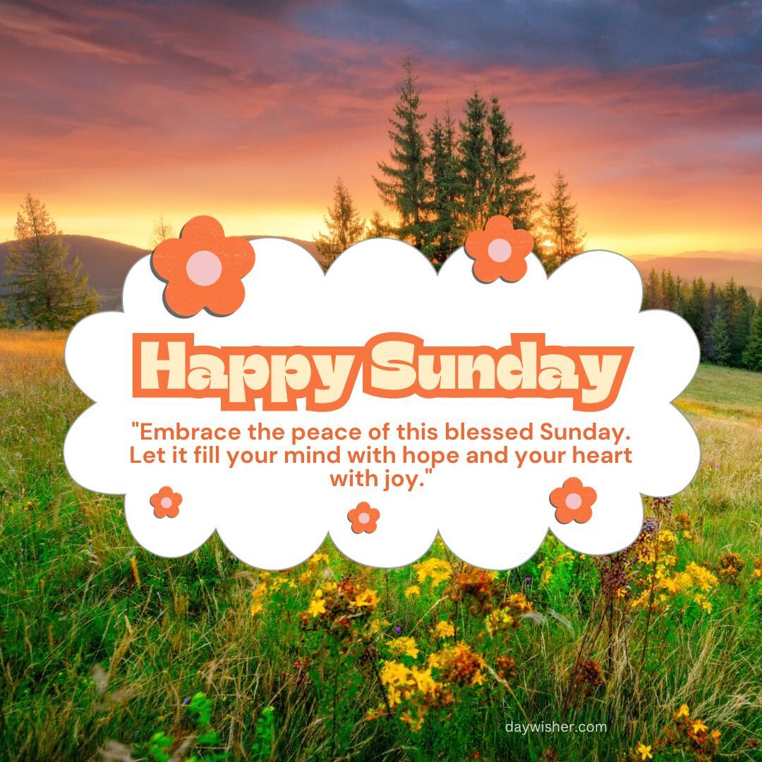 Image of a sunset over a meadow with trees, highlighted by a graphic saying "Happy Sunday Blessings" with flowers and the quote "embrace the peace of this blessed Sunday. Let it fill