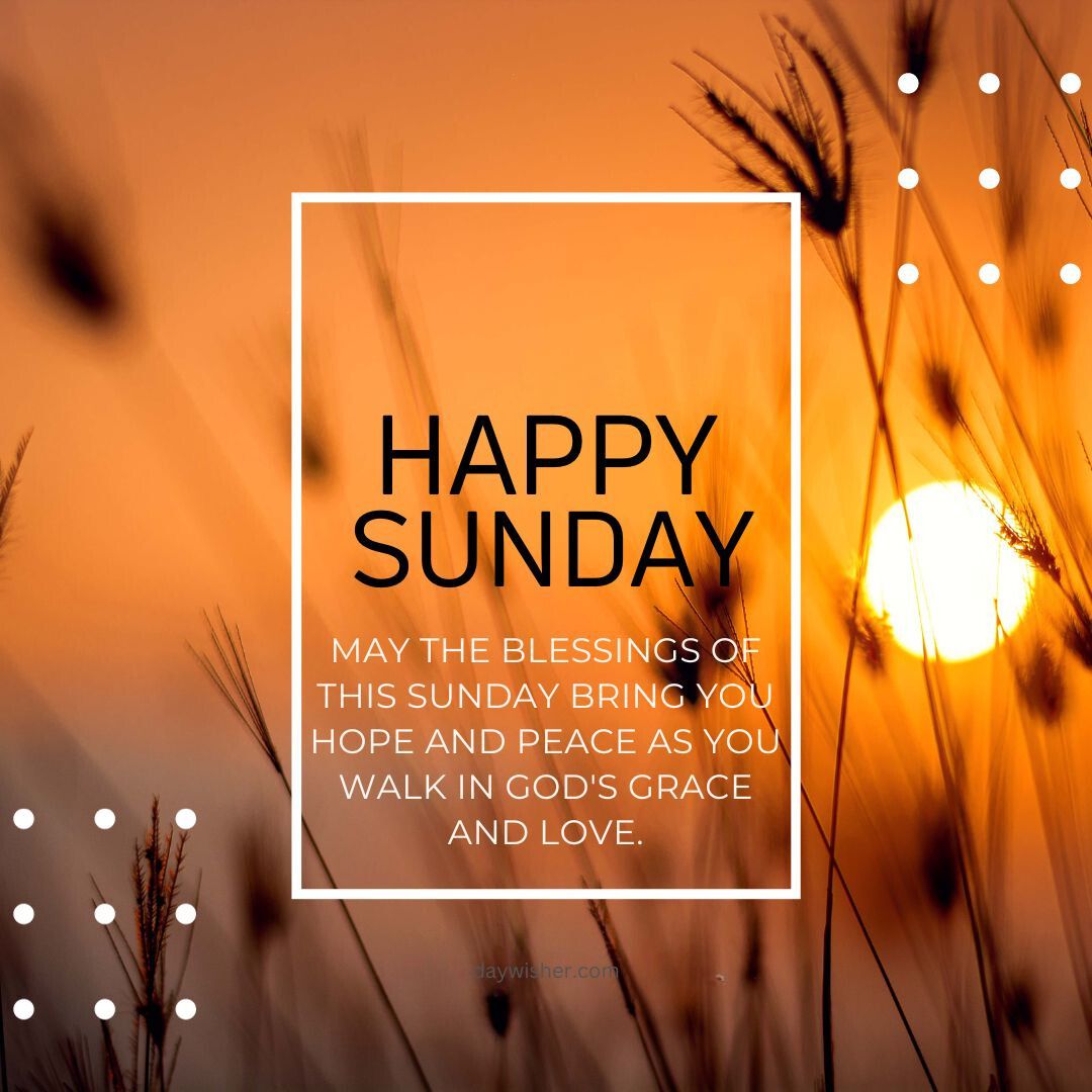 Image featuring a serene golden sunset with silhouetted wild grass. Overlay text in a white frame reads "Happy Sunday Blessings" and wishes for hope and peace.