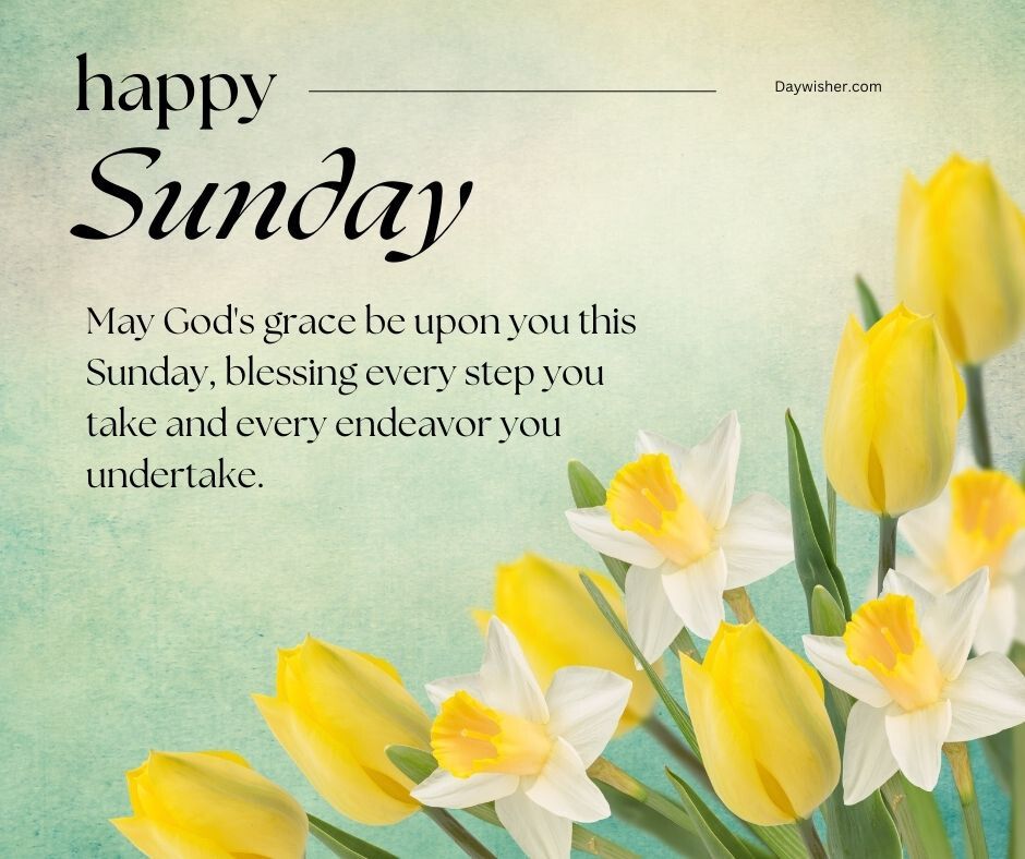 A "Happy Sunday Blessings" greeting card featuring vibrant yellow tulips and white daffodils with a message wishing God's grace and blessings on endeavors.
