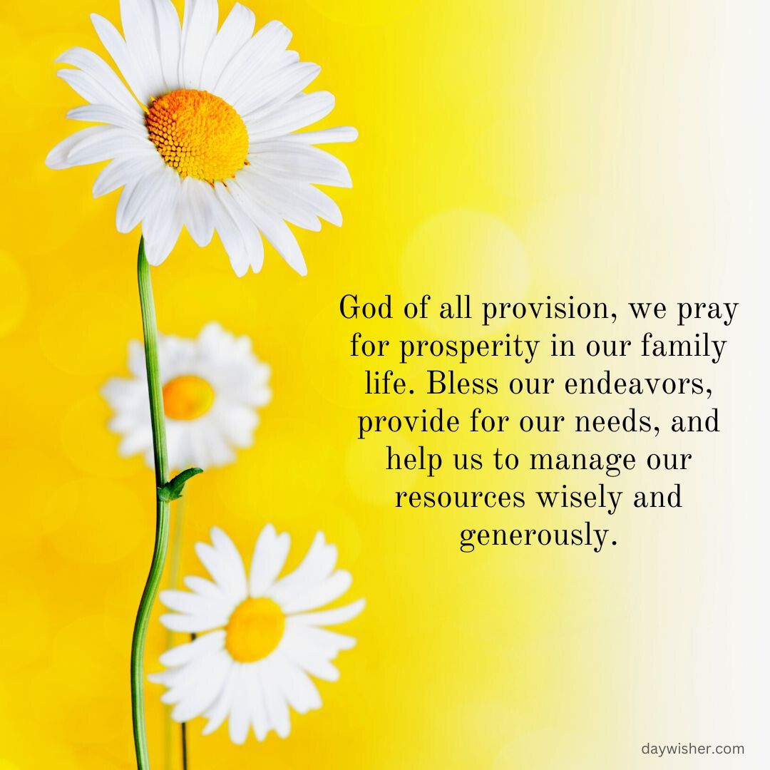 A vibrant yellow background with two white daisies, one in focus in the foreground. Text overlaid reads a family prayer for provision and blessings.