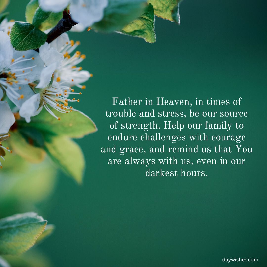 A serene image of white spring blossoms on a branch, with a green background. An overlay features family prayer quotes for strength and guidance during tough times.