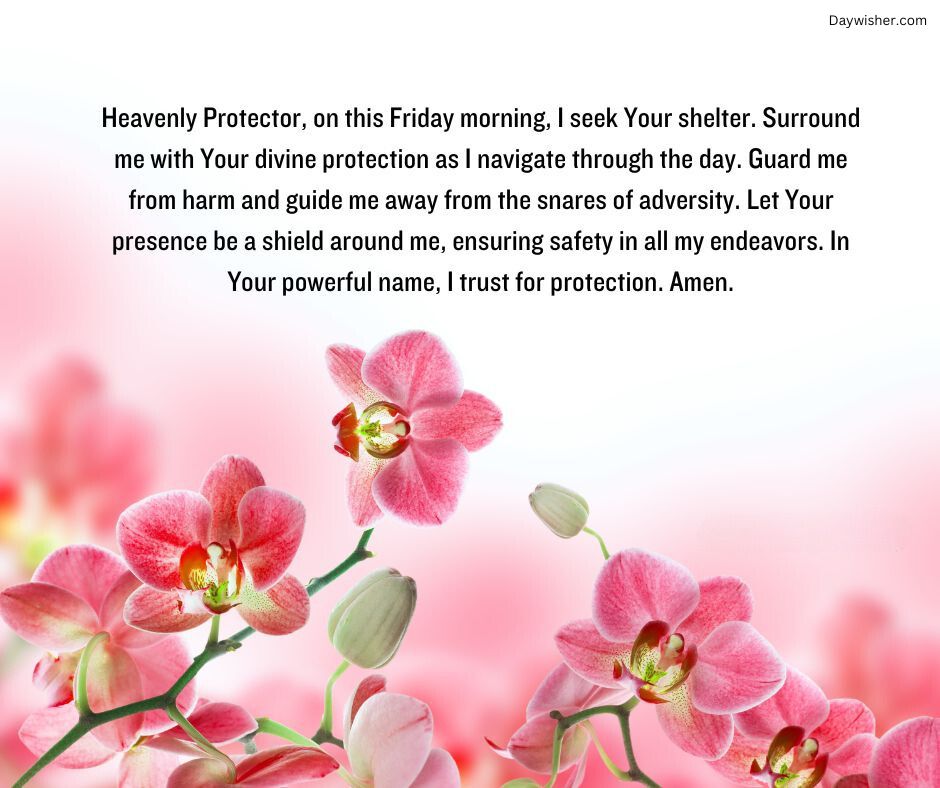 Close-up of vibrant pink orchids with a blurred green background, overlaid with a Friday Morning Prayer for protection and guidance written in elegant white font.