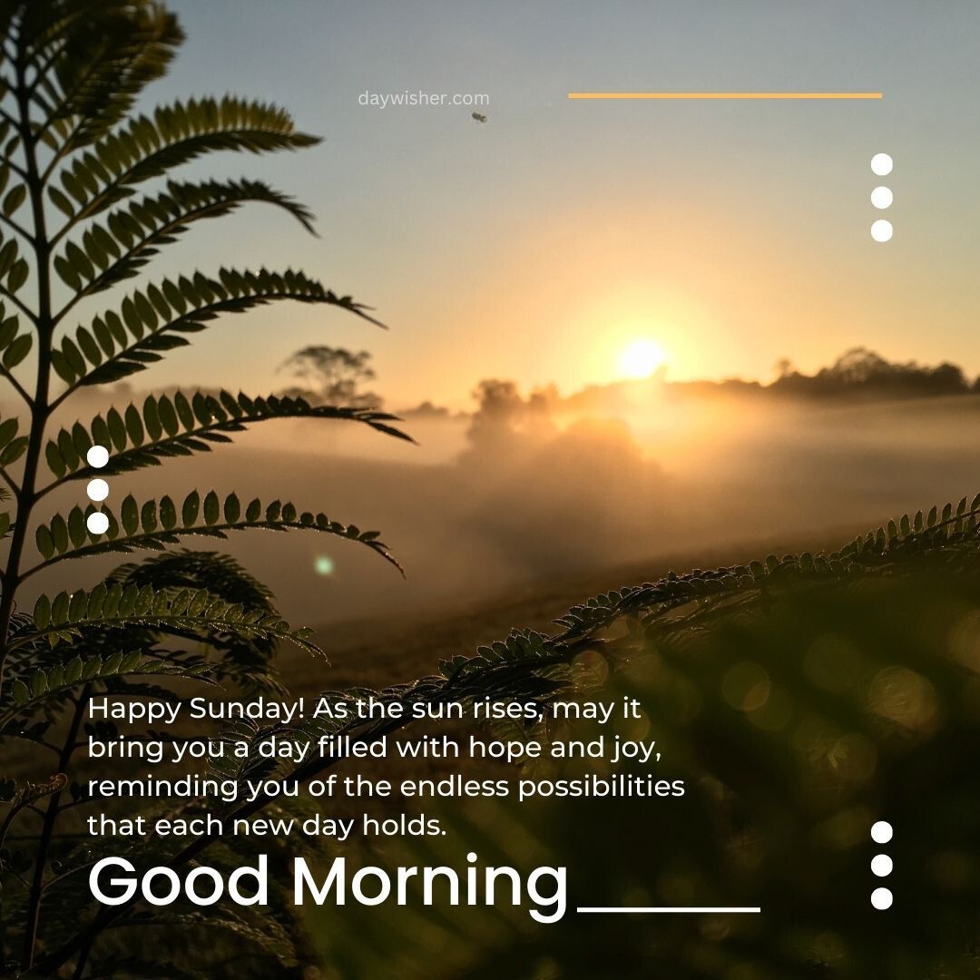 A misty sunrise seen through a lush landscape with fern leaves in the foreground. Text overlay wishes "Happy Sunday Blessings" and a good morning, suggesting hope and possibilities with each new day.