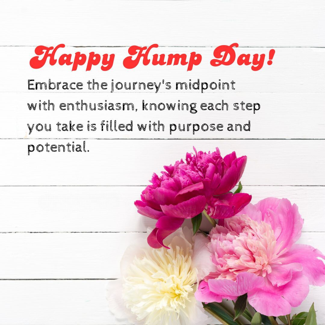 Text reading "happy hump day! embrace the journey's midpoint with enthusiasm, knowing each step you take is filled with purpose and potential," with vibrant pink and white peonies on a white wooden