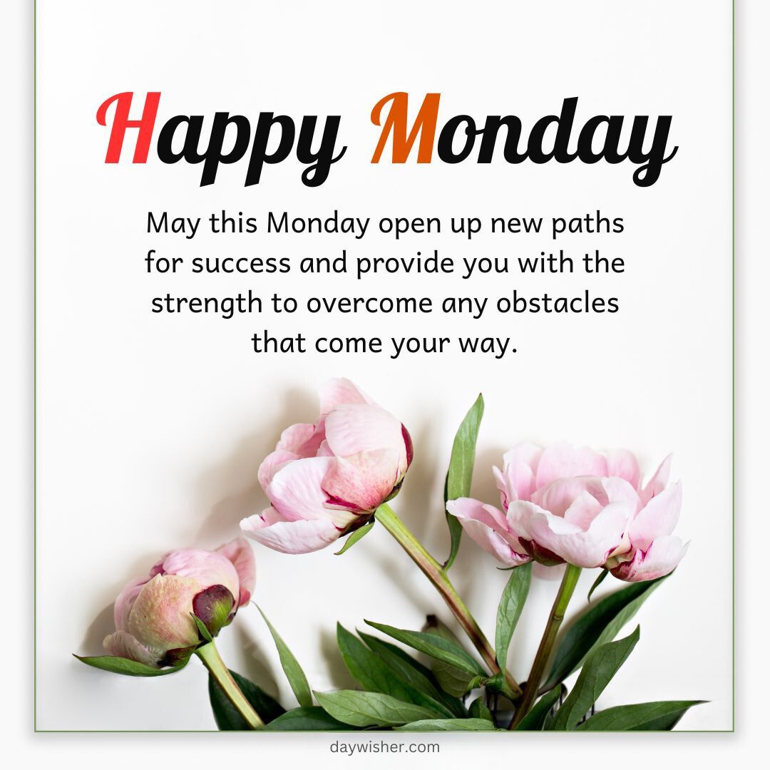 Image showing a motivational "Monday Blessings" message with a text wishing success and strength, accompanied by an image of several light pink peonies against a white background.