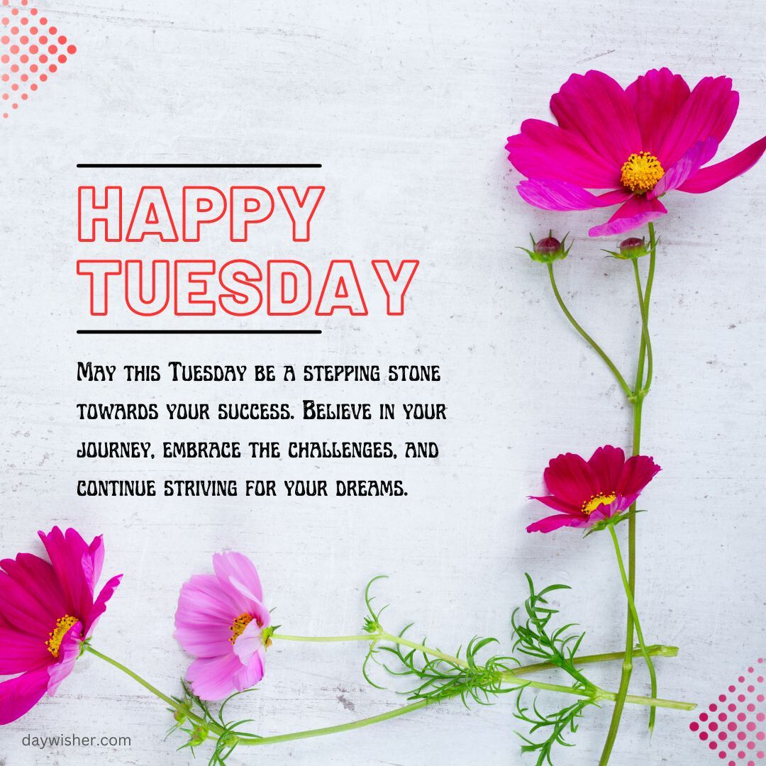 Bright pink flowers next to a message saying "Happy Tuesday Blessings" with encouraging quotes about embracing challenges and striving for dreams, on a light blue background.