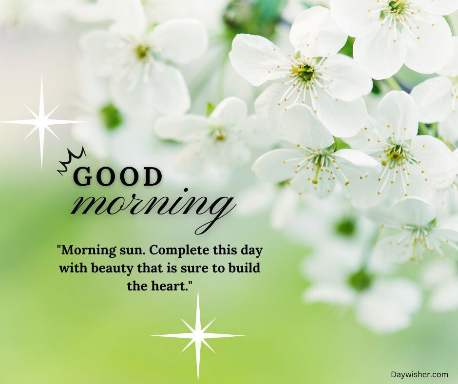 A serene image featuring delicate white blossoms with a soft green background and the text "good morning" along with a quote about the sun and beauty, perfect for that special person.
