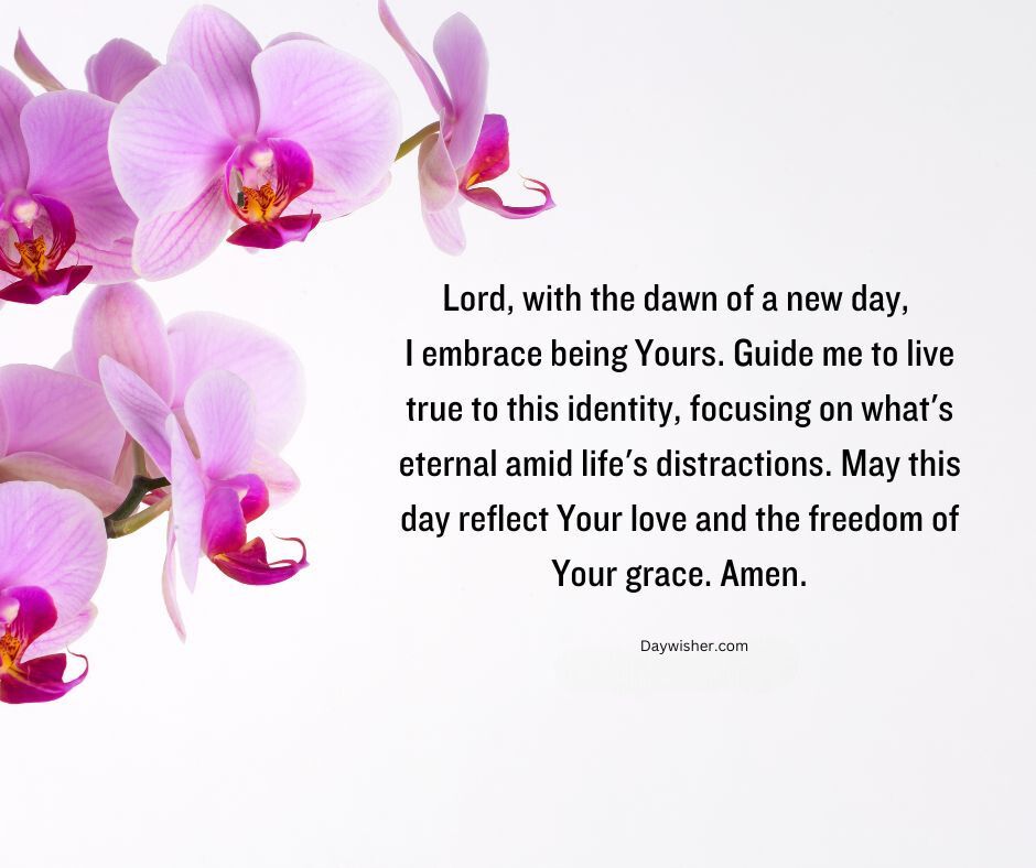 A serene image featuring vibrant purple orchids against a white background, accompanied by a good morning prayer about embracing life and reflecting love with the new day.