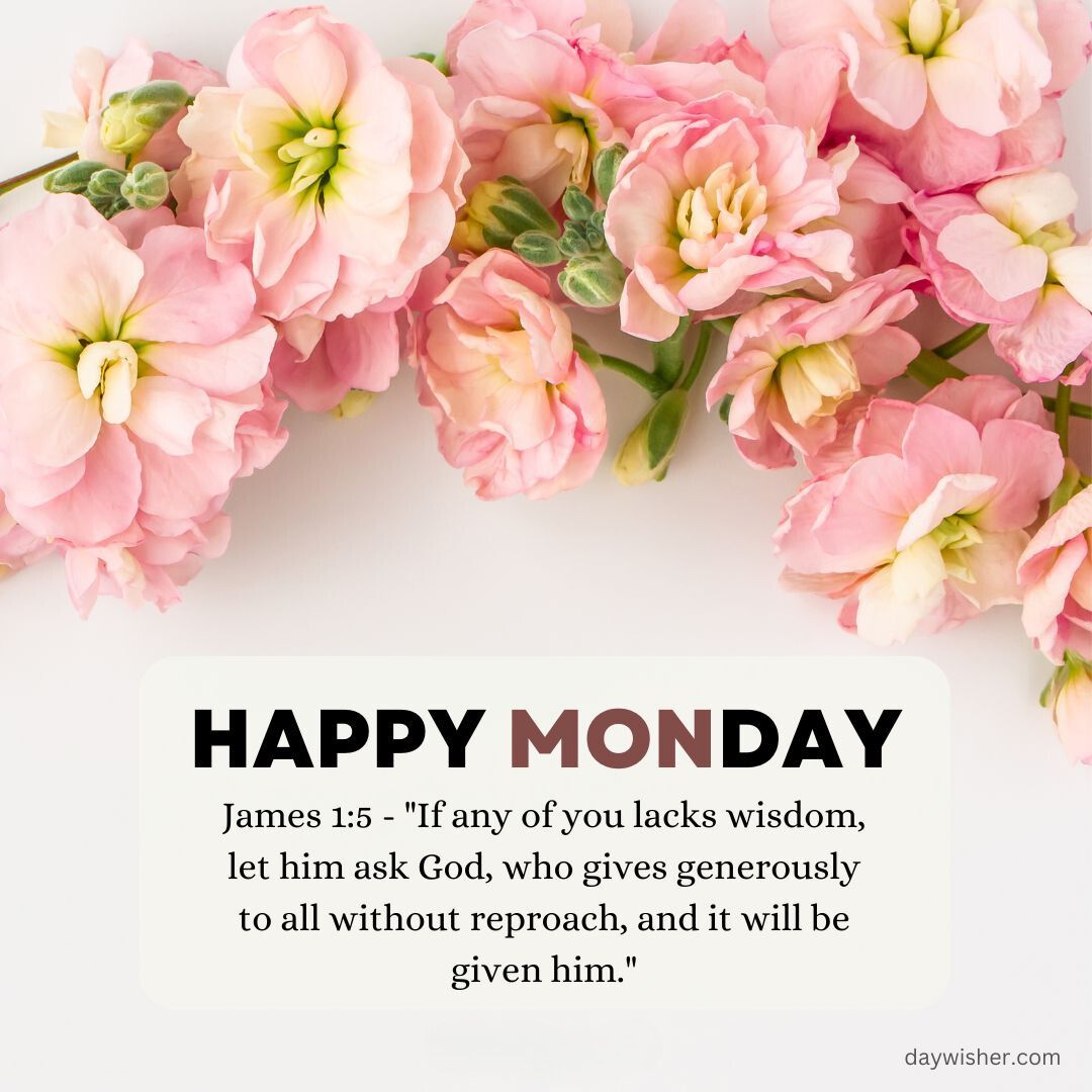 A graphic featuring pink flowers surrounding a text box that says "Monday blessings" along with a biblical quote from James 1:5 about asking God for wisdom.