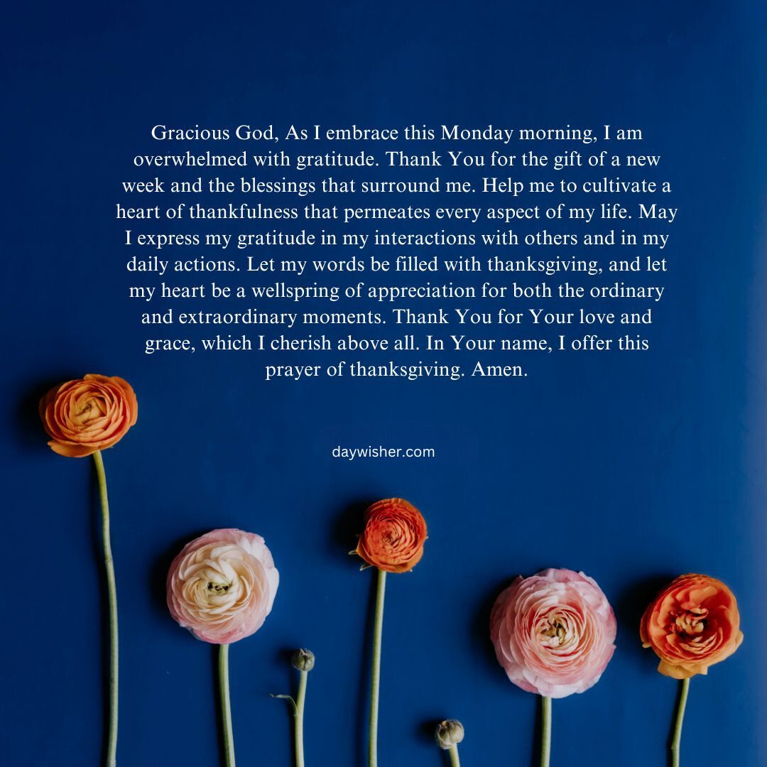A poetic text on a blue background surrounded by scattered, peach-colored ranunculus flowers, expressing feelings of gratitude and Monday Morning Prayer.