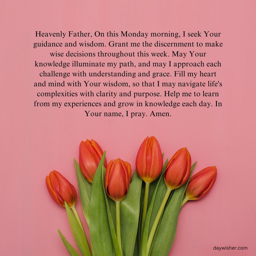 A square image showing a bouquet of orange tulips set against a bright pink background with a printed Monday Morning Prayer asking for guidance and wisdom.