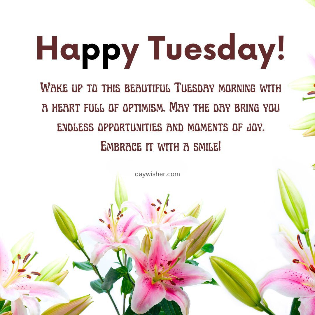 An image featuring a cheerful greeting "Happy Tuesday Blessings!" with a motivational quote surrounded by vibrant pink and white lilies on a white background.