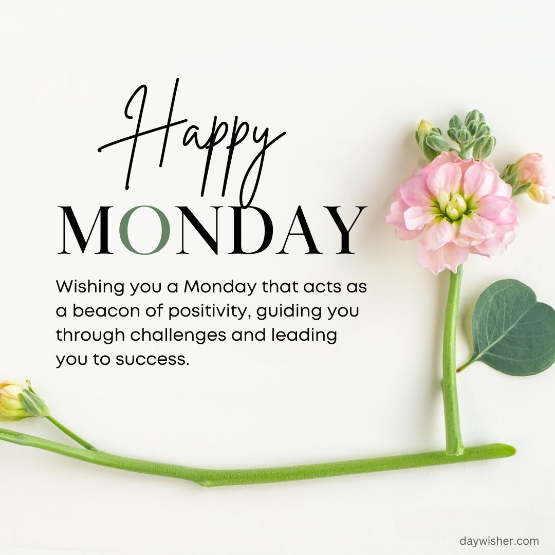 A motivational graphic saying "Monday Blessings" with a message about positivity, accompanied by pink flowers and green leaves on a white background.