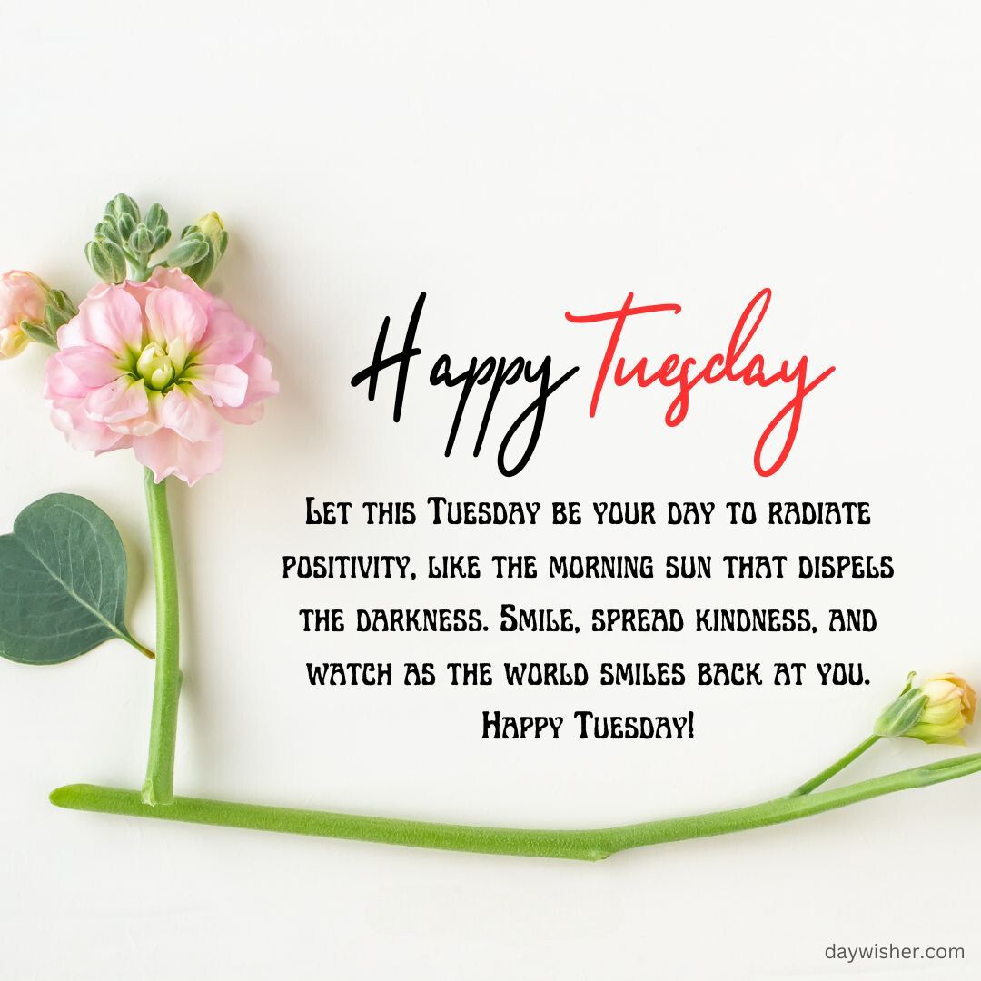 A cheerful "Happy Tuesday Blessings" greeting card with a delicate pink flower and green leaves on a white background, accompanied by an uplifting quote about positivity and kindness.