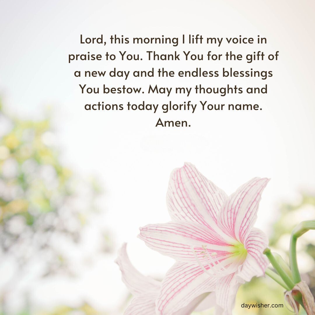 A serene image featuring a delicate pink lily in the foreground with a soft-focus background of greenery and light. Text on the image contains good morning prayers expressing gratitude and seeking blessings.