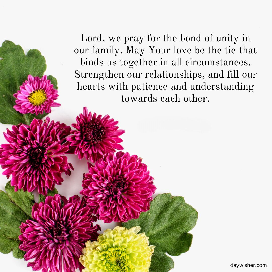 Graphic with a family prayer quote surrounded by scattered, colorful chrysanthemums on a white background, promoting unity and patience in relationships.