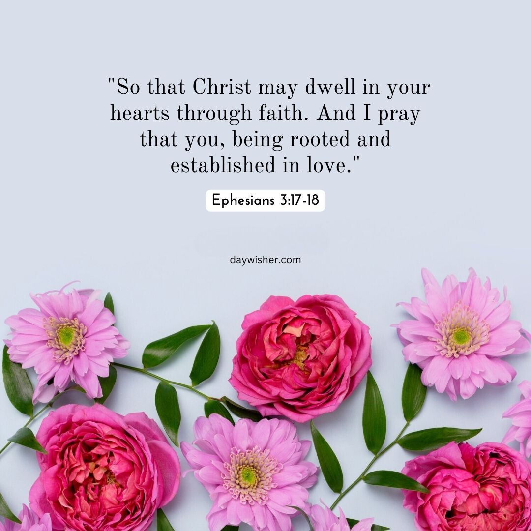 A serene image featuring a cluster of vibrant pink flowers, with a Bible verse about faith from Ephesians 3:17-18 in elegant white text overlaid on a light background.