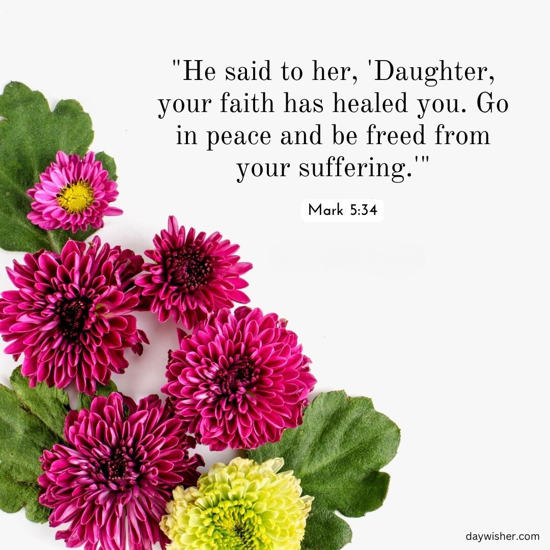 A collection of vibrant chrysanthemum flowers in pink and yellow colors, arranged around a Bible verse about faith from Mark 5:34 on a white background.