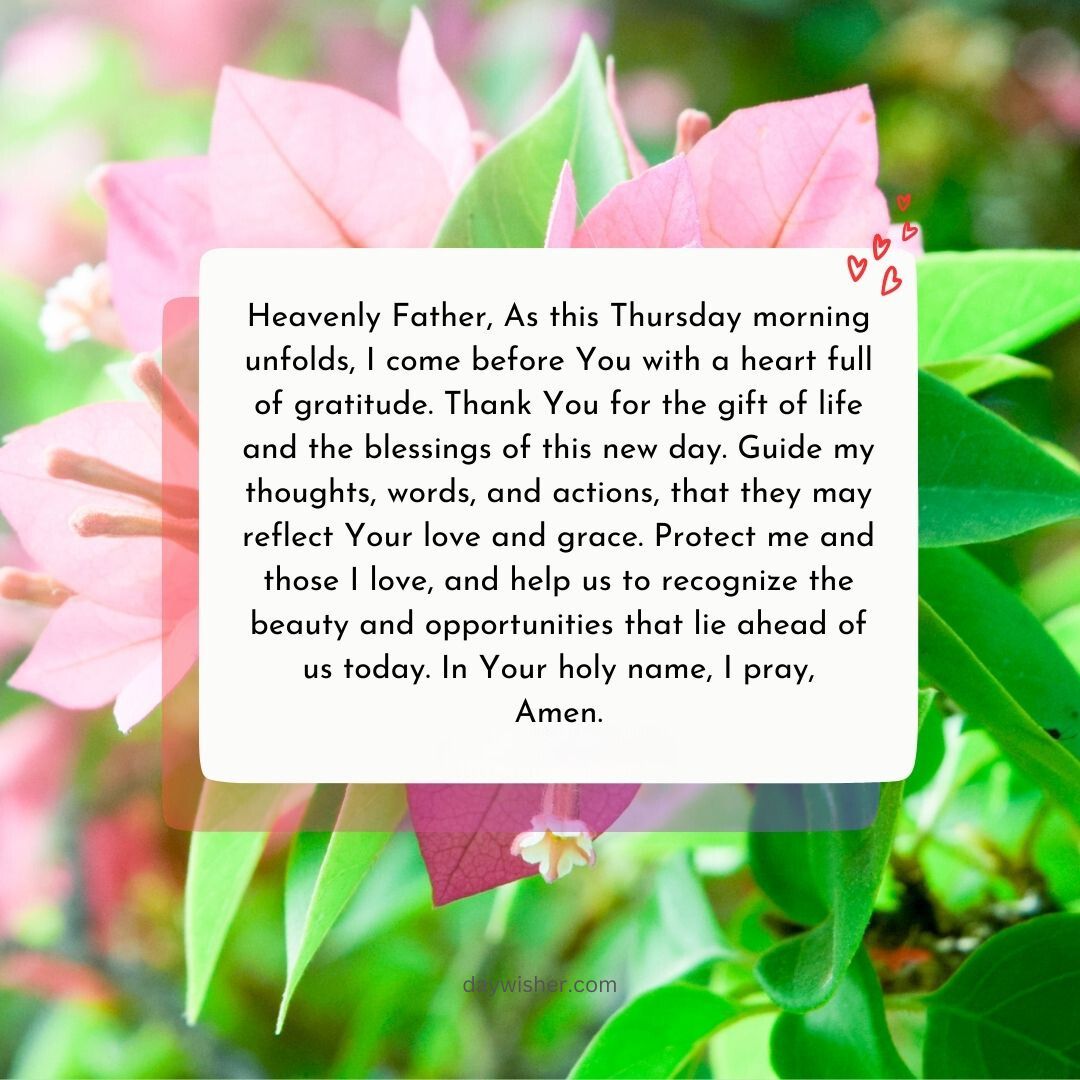 A serene image of pink flowers with a Thursday Morning Prayer text overlay expressing gratitude and seeking guidance, displayed against a blurred natural background.