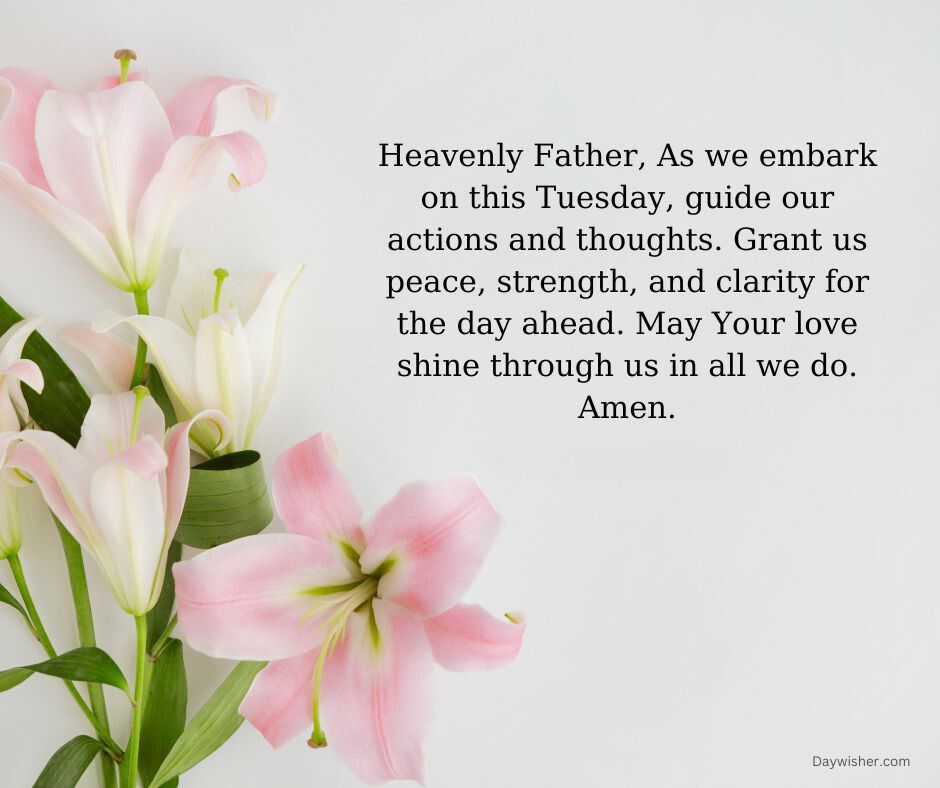 A floral image featuring pink lilies in the foreground with a light background, accompanied by a Tuesday Morning Prayer asking for guidance, strength, and love.