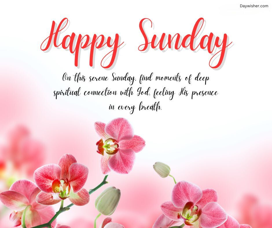 Image of a graphic with the text "Happy Sunday Blessings" in decorative red script, surrounded by vibrant pink orchids. A subtitle reads, "On this serene Sunday, find moments of