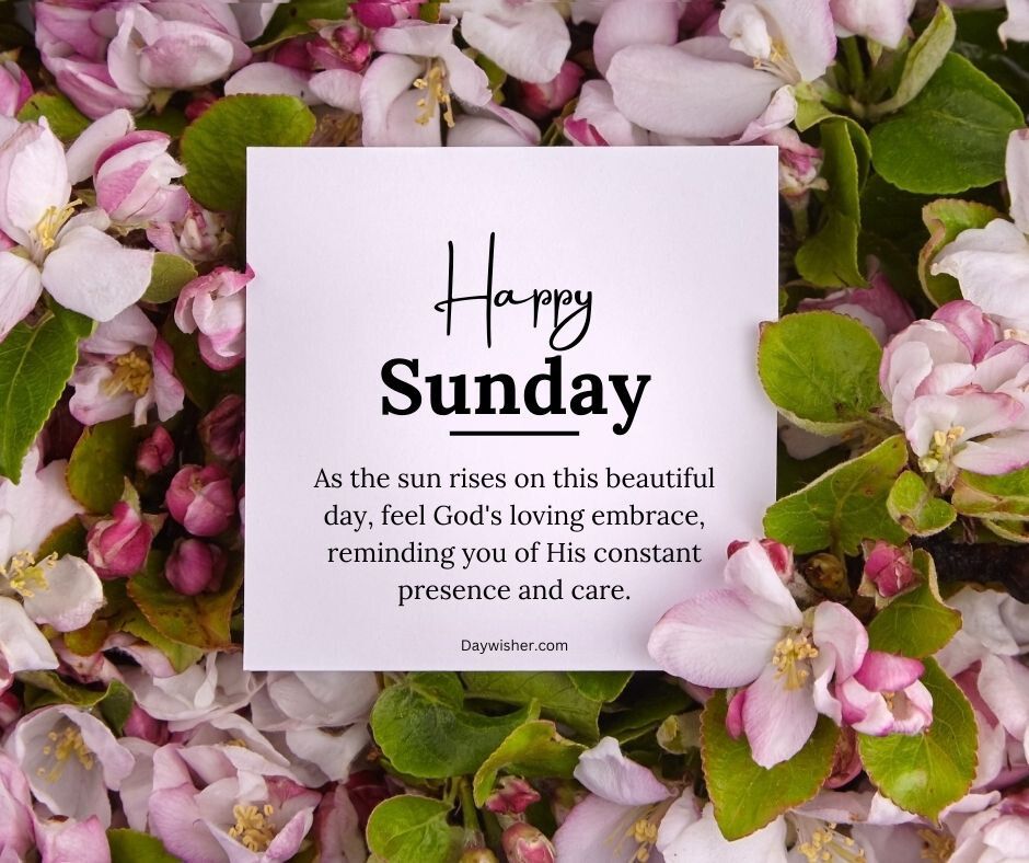 A card with "Happy Sunday Blessings" written on it, surrounded by a vibrant array of pink and white blossoms, symbolizing a cheerful greeting and the beauty of nature.