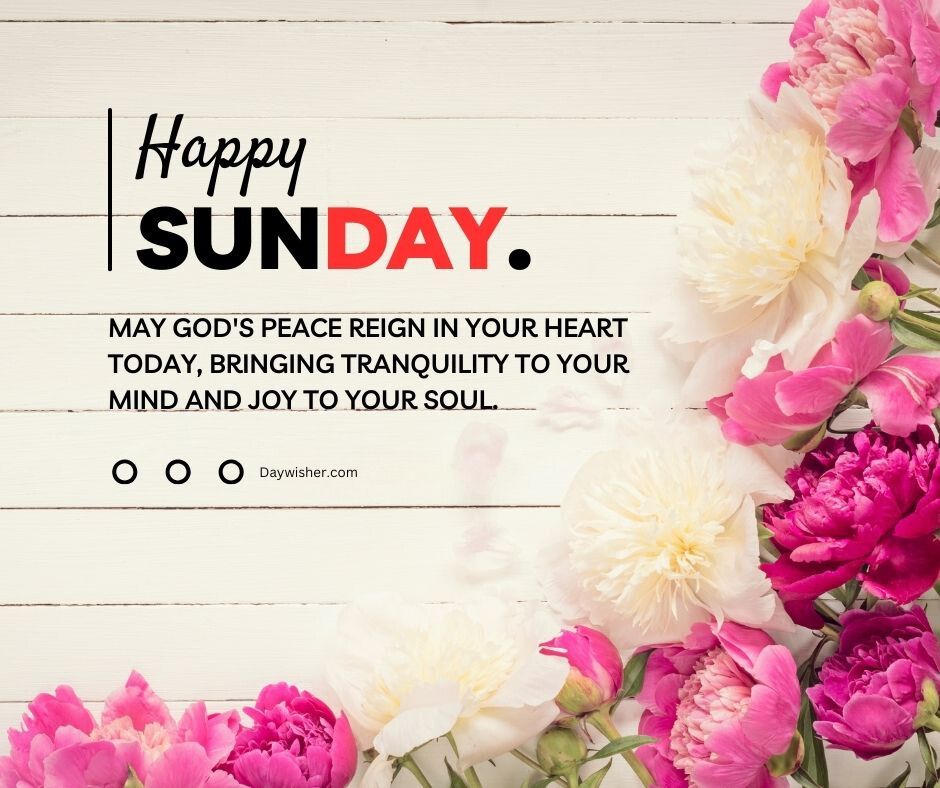 An image featuring the words "Happy Sunday Blessings" with a motivational quote underneath, surrounded by vibrant pink flowers against a white wooden background.