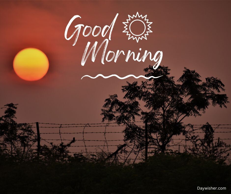 Image of a sunrise with a vibrant orange sky and silhouettes of trees and a fence. Text overlaid says "special good morning" with a stylized sun drawing.