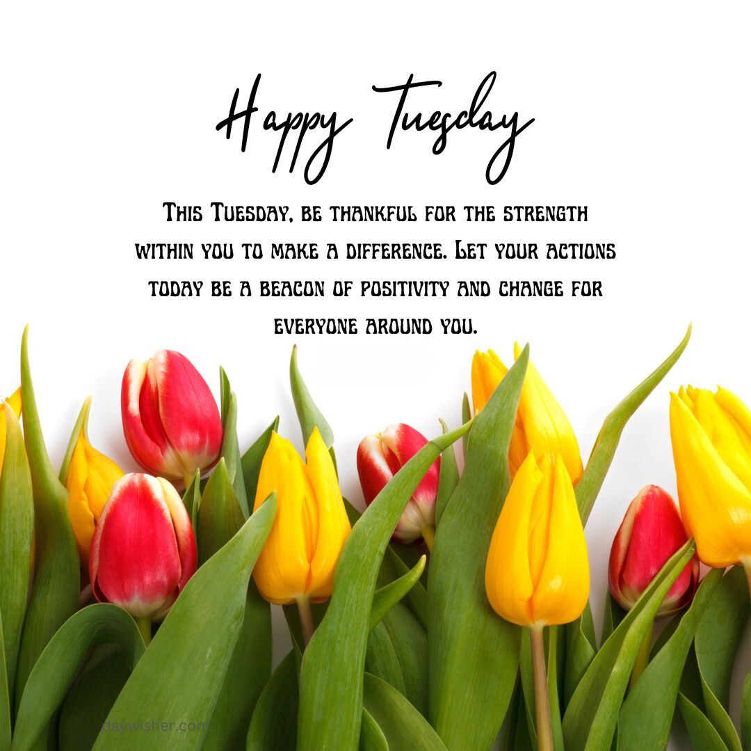Text "Happy Tuesday Blessings" over a background of vibrant red and yellow tulips with an inspirational quote about positivity and making a difference.