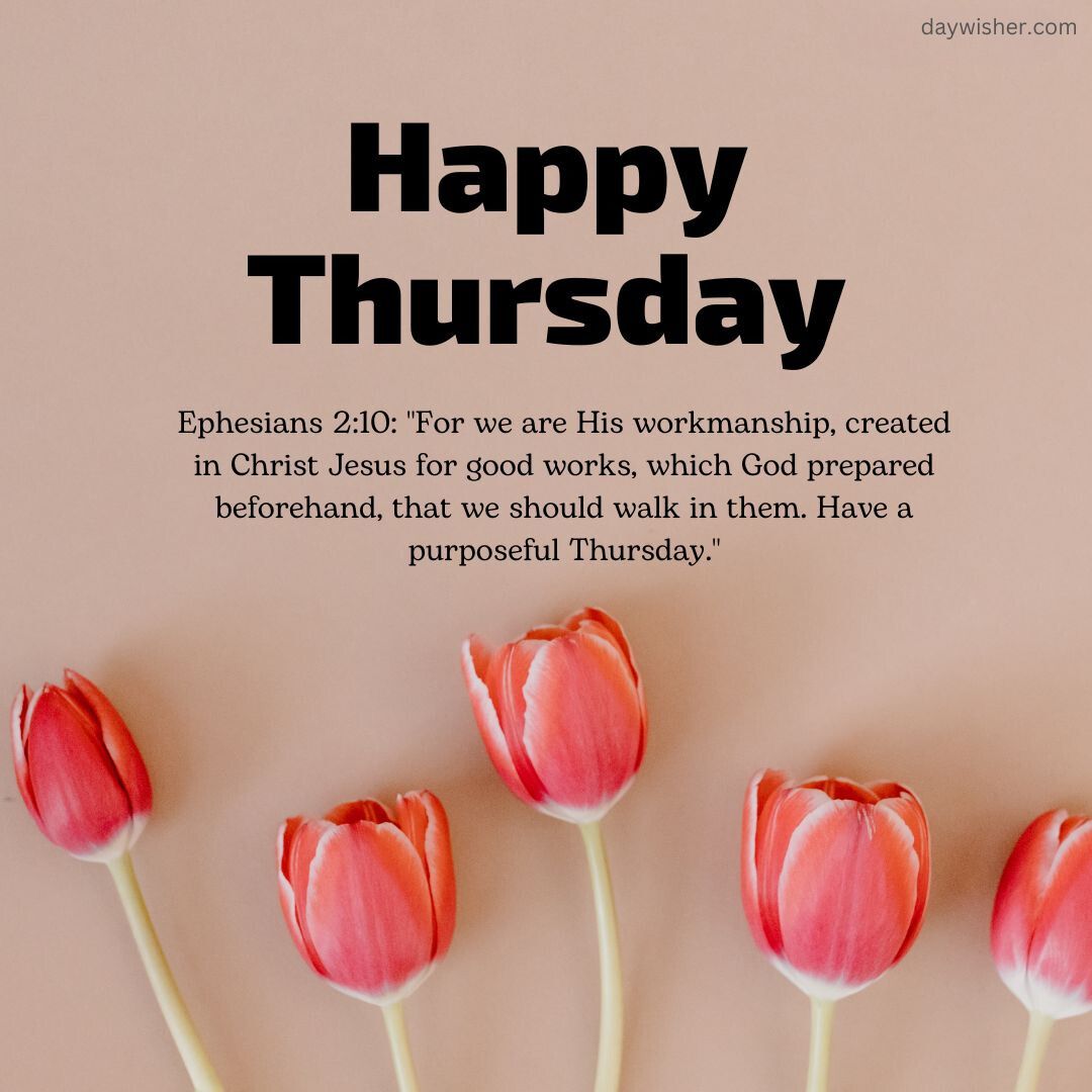 Happy Thursday morning prayer message with a biblical quote from Ephesians 2:10 and an illustration of pink tulips against a soft peach background.