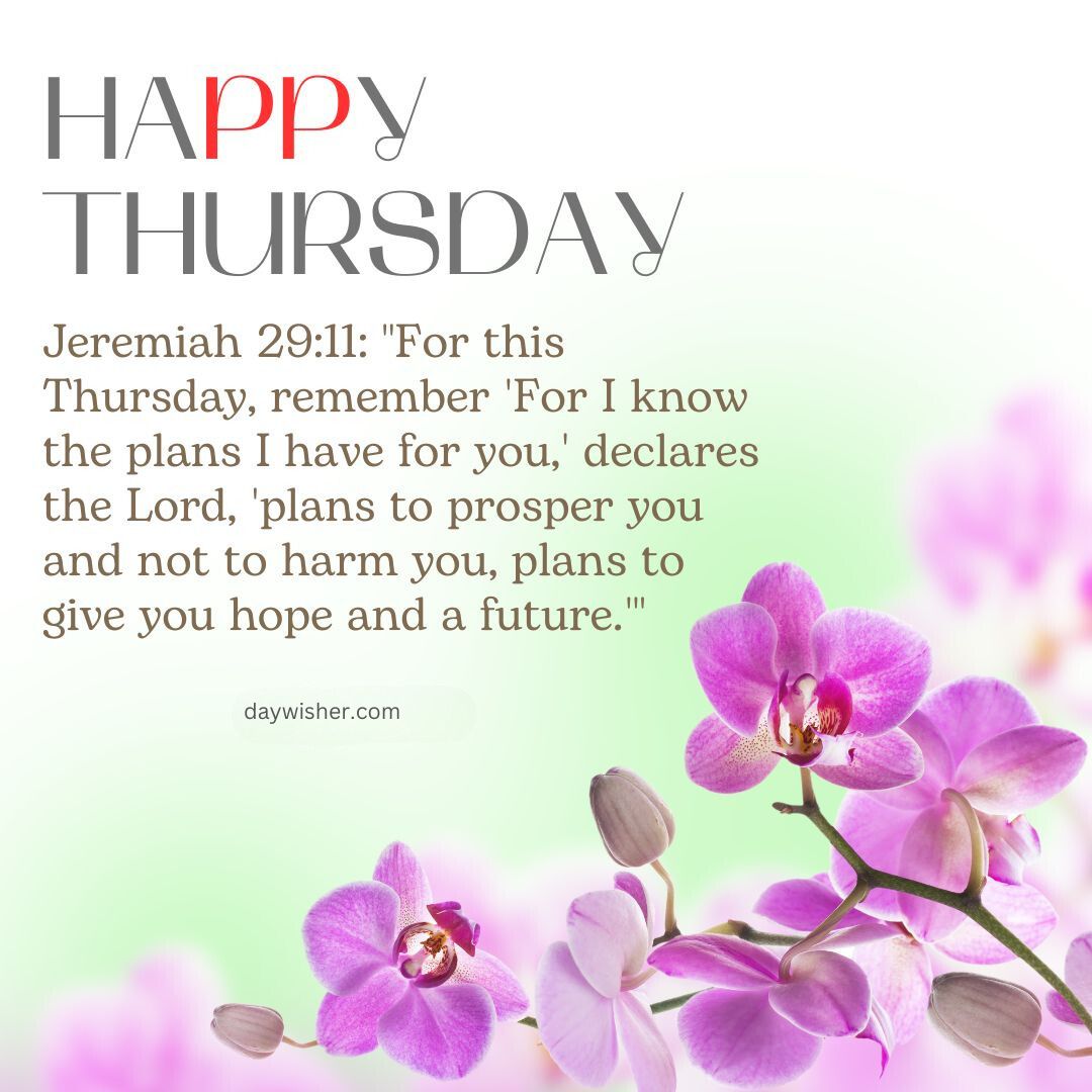 Image displaying "happy thursday" with a quote from Jeremiah 29:11 over a background of soft green with pink orchid flowers, perfect for a Thursday Morning Prayer.