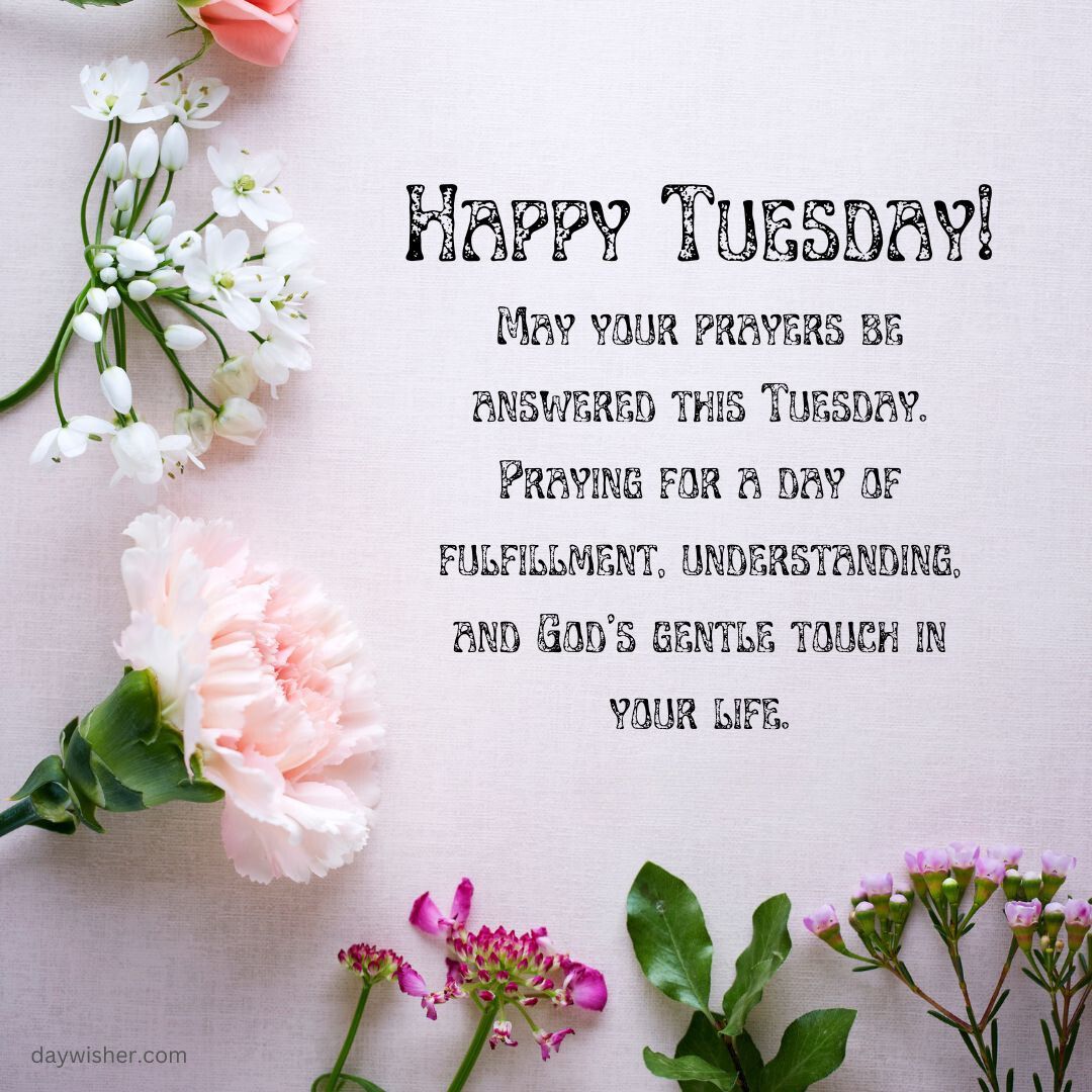 A graphic with the text "Happy Tuesday Blessings! May your prayers be answered this Tuesday. Praying for understanding, fulfillment, and God's gentle touch in your life." surrounded by various soft pink