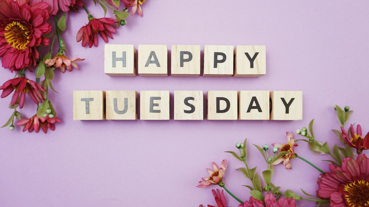 Wooden blocks spelling "Happy Tuesday Blessings" on a purple background, surrounded by colorful flowers.
