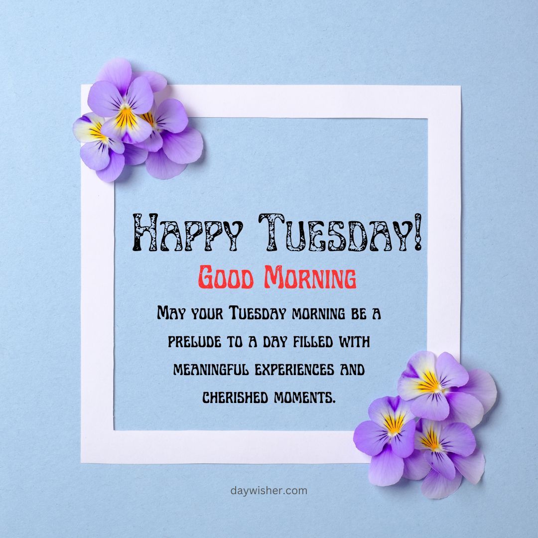 A cheerful greeting card on a blue background featuring the message "Happy Tuesday Blessings! Good morning" surrounded by purple and yellow pansy flowers.