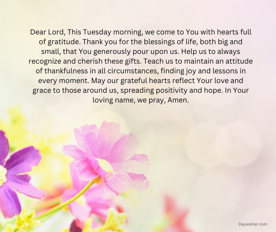 A serene image featuring a cluster of purple flowers in sharp focus against a soft, sunlit background with a Tuesday Morning Prayer text overlay expressing gratitude and hope.