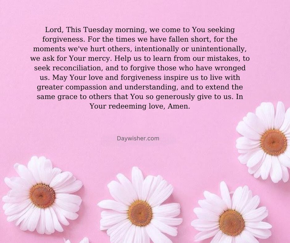 A serene image featuring three white daisies with vibrant yellow centers positioned at the bottom against a soft pink background. A heartfelt Tuesday Morning Prayer text overlays the image, seeking forgiveness and love.