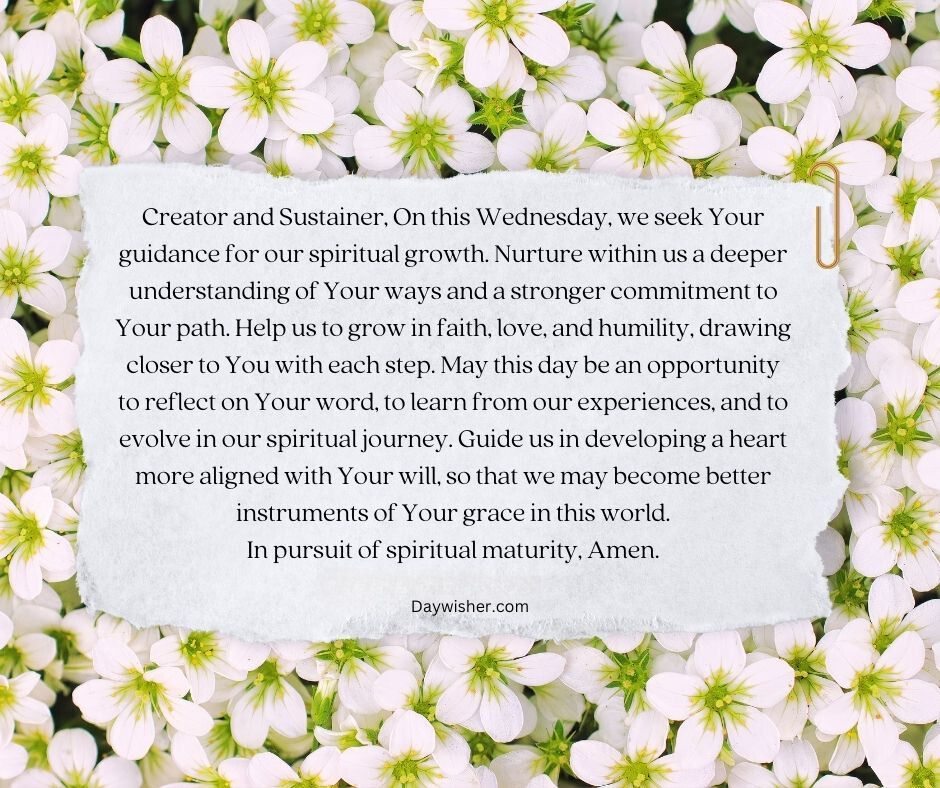 A background of small white flowers with green centers, overlaid with a Wednesday morning prayer seeking guidance and growth, framed by more concentrated green foliage at the edges.
