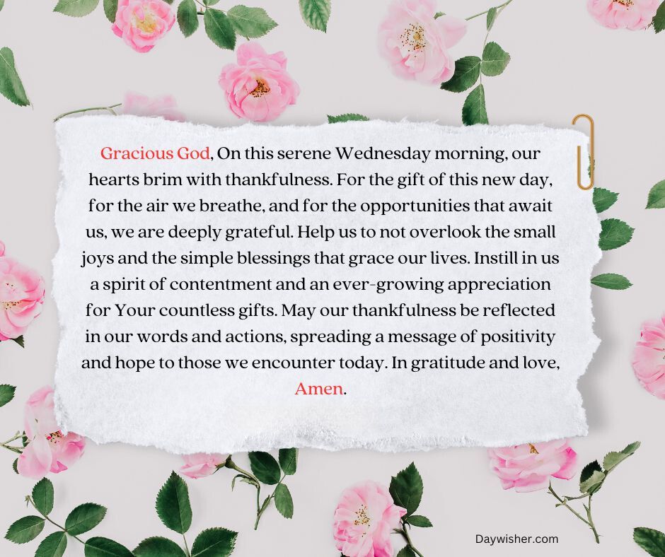 An inspirational Wednesday Morning Prayer is displayed on a white pillow surrounded by a pattern of pink roses and green leaves, conveying a message of gratitude and positivity.