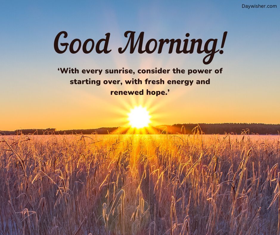 A vibrant image of a sunrise over a field of golden wheat, with the text "special good morning!" and an inspirational quote about new beginnings and hope.