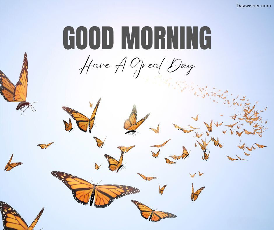 A bright image with a sky background featuring several orange and black butterflies. A motivational text overlays it reading "good morning, have a great day," designed for that special person.