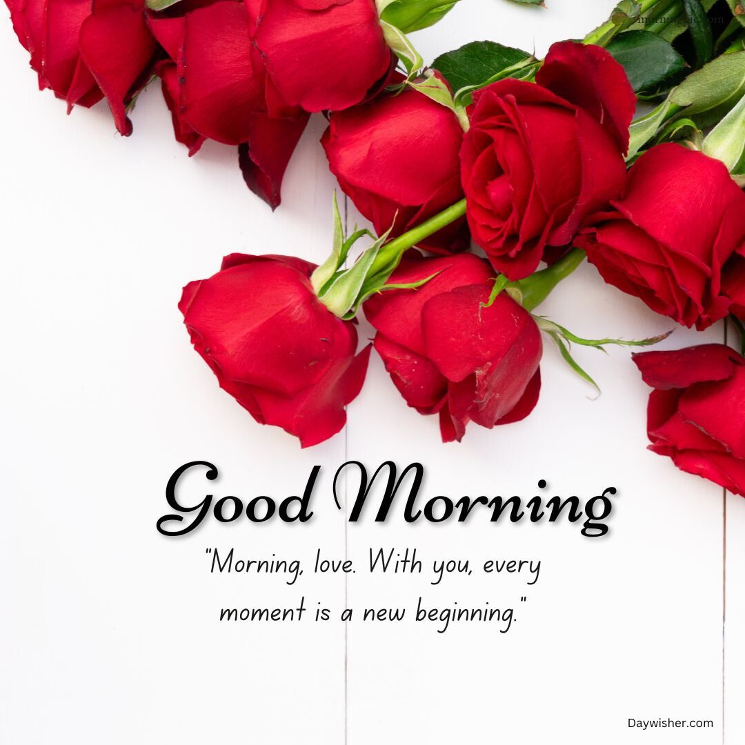Image of red roses on a white background with the text "Good Morning Love" and a quote saying "Morning, love. With you, every moment is a new beginning.