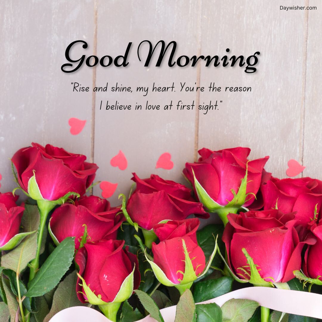 Image of vibrant red roses scattered with petals on a light wooden surface, featuring a text overlay that says "Good Morning Love" and a quote about love at first sight.