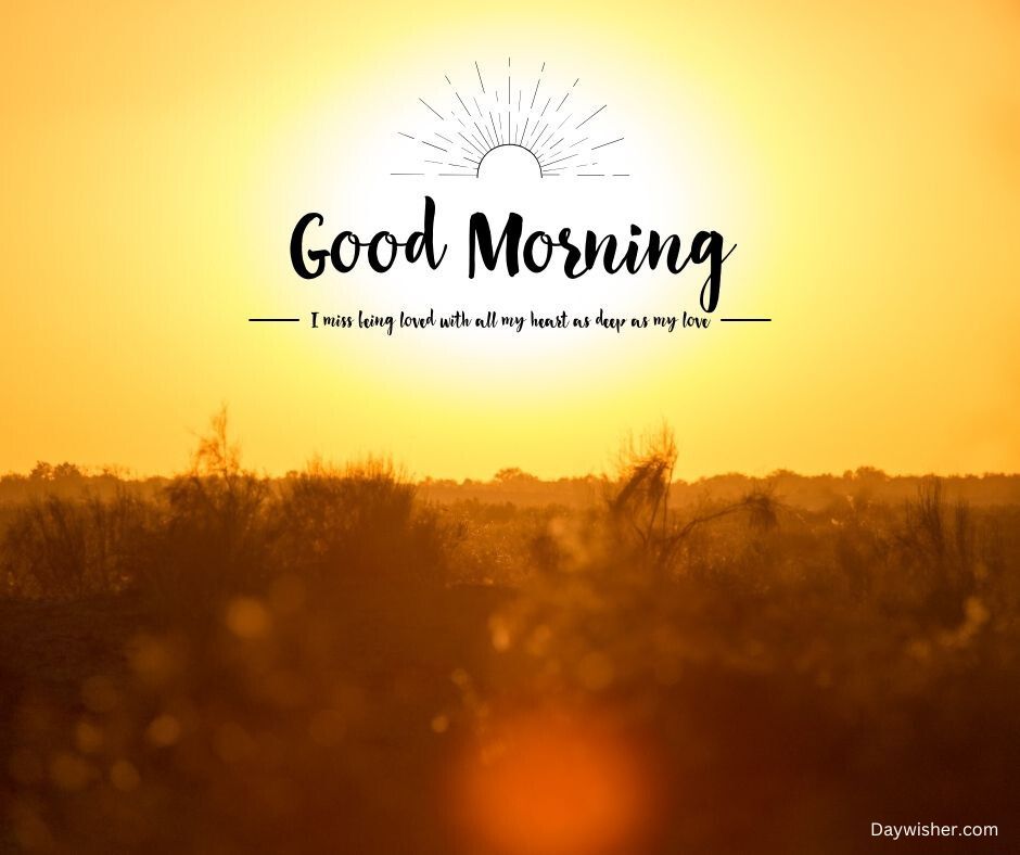 A warm, sunlit landscape at sunrise with the text "special good morning" and a quote about love overlaid on the image, depicting a calm and inviting scene.