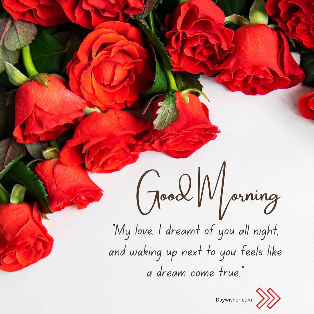 Image of vibrant red roses arranged in a semi-circle against a white background, with a romantic message saying "Good Morning Love" and a quote about dreaming of love.