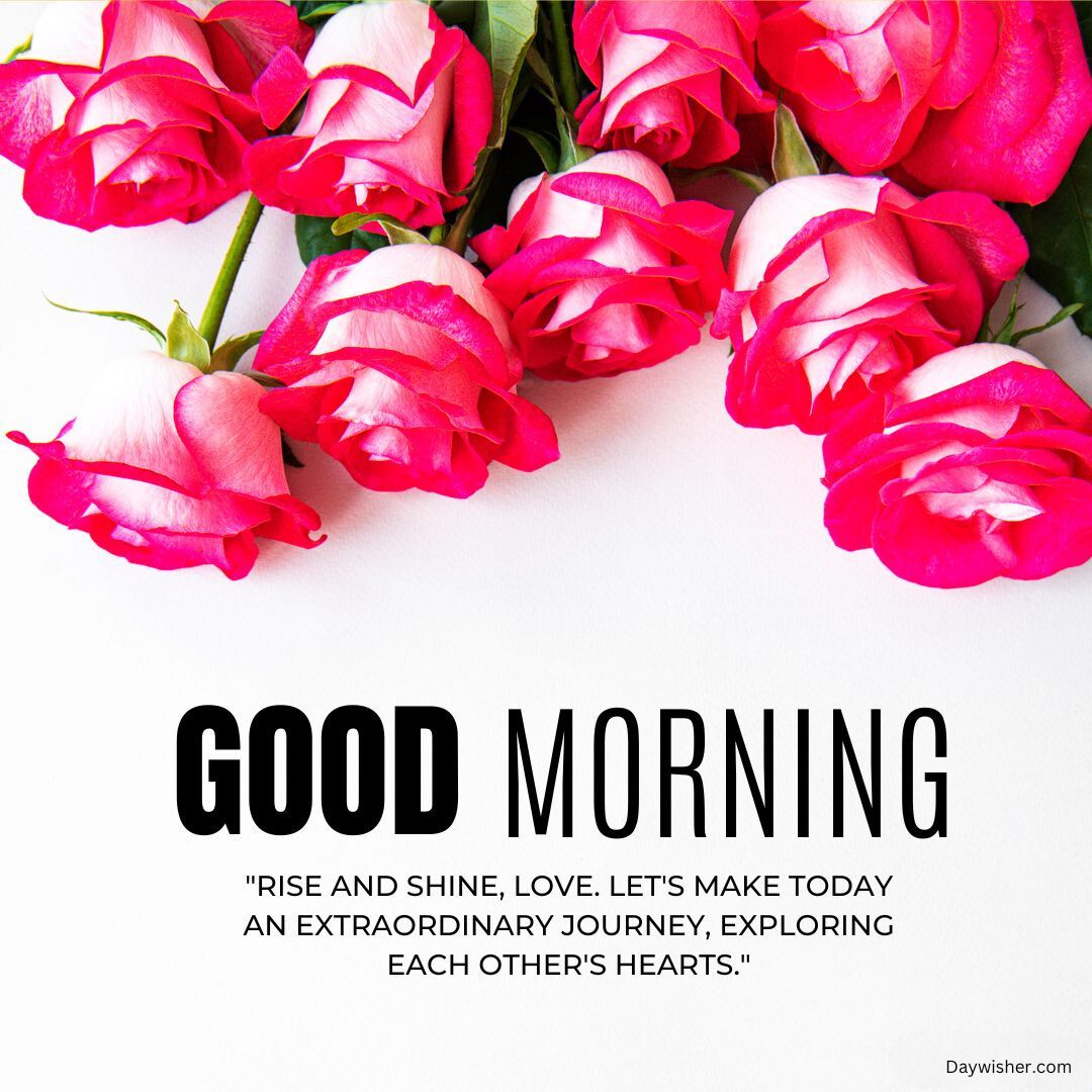 A vibrant image featuring a bouquet of pink roses with dew on the petals, set against a white background. Overlay text says "Good Morning Love" and a quote about making today extraordinary.