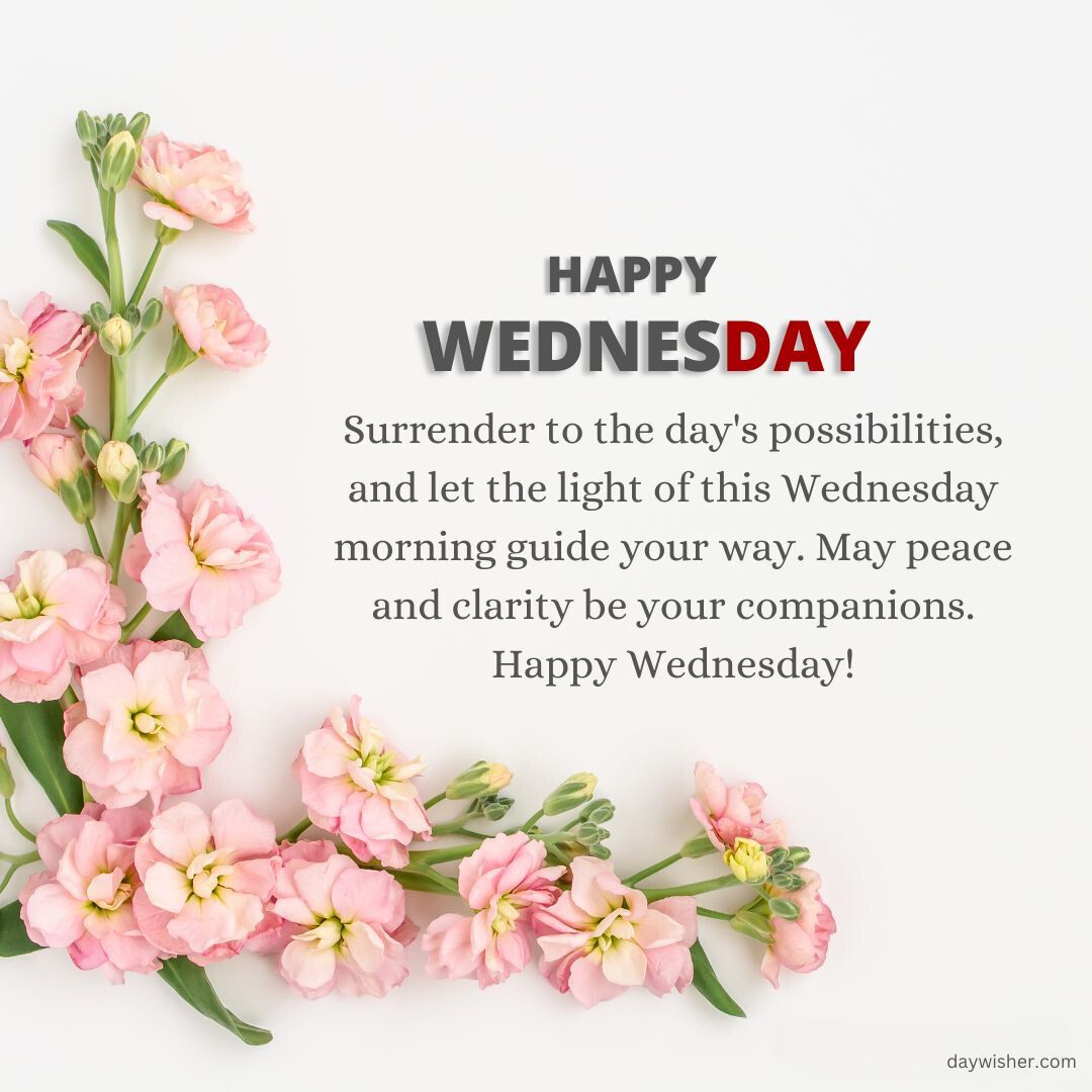 A "Wednesday Blessings" graphic with pink flowers surrounding an inspirational quote about embracing possibilities and finding peace and clarity.