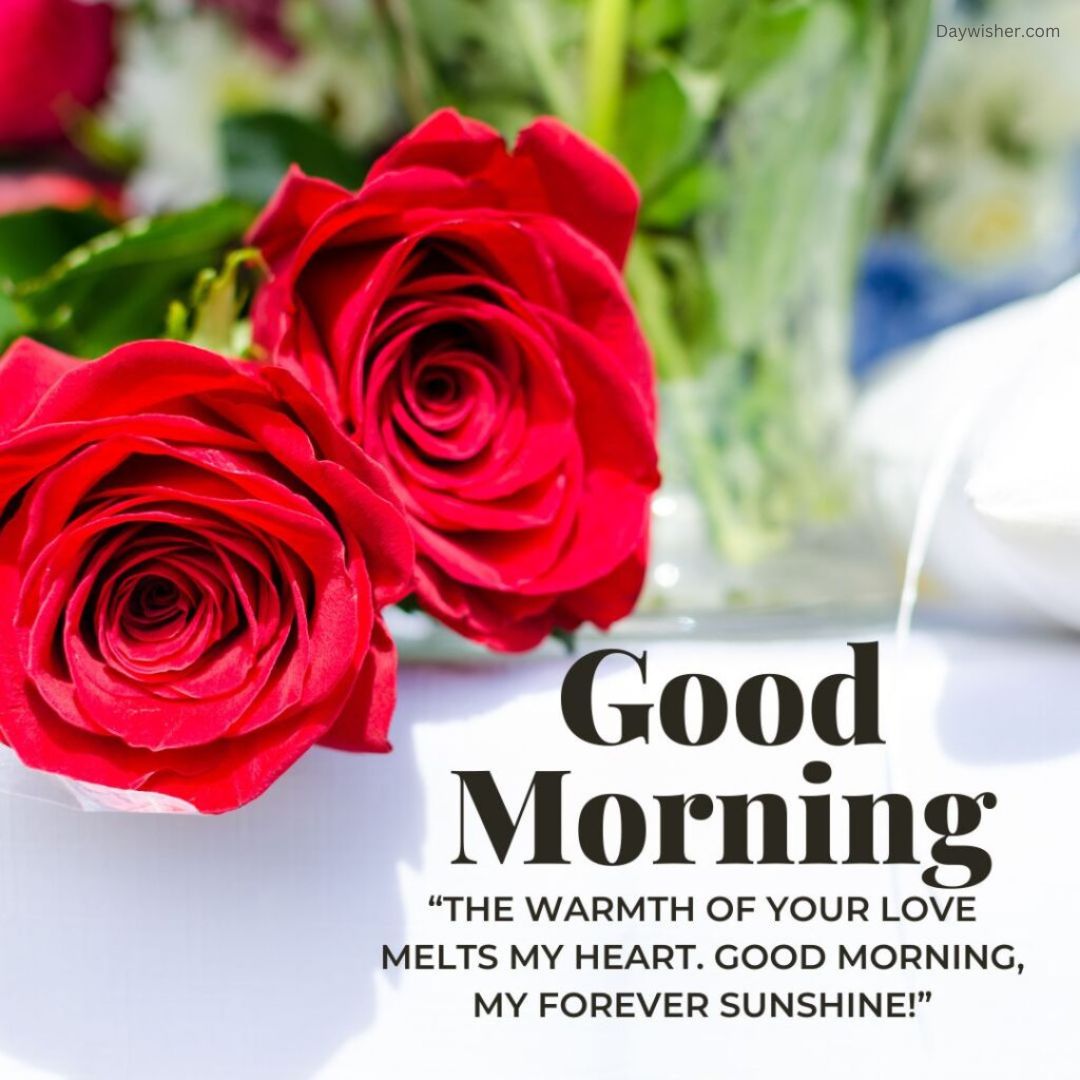 Bright red roses in a white vase with a "Good Morning Love" greeting and a loving message, set against a blurred background of green and white.