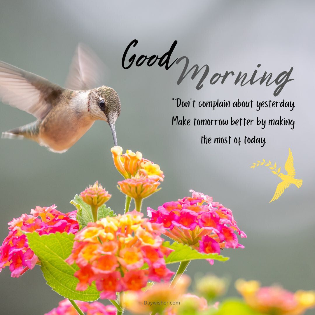 A hummingbird hovers above vibrant pink and yellow flowers against a soft green background. Text reads "good morning" with an inspirational quote about making the most of today, perfect for sharing with friends.